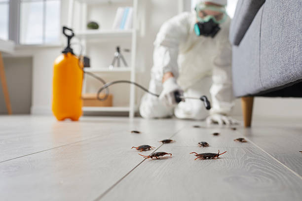 Commercial Kitchen Cockroach Control in Eton